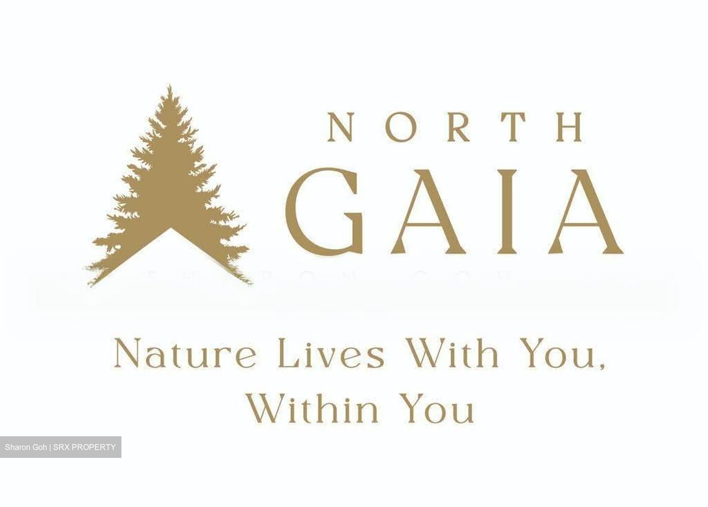 North Gaia (D27), Condominium #636257651